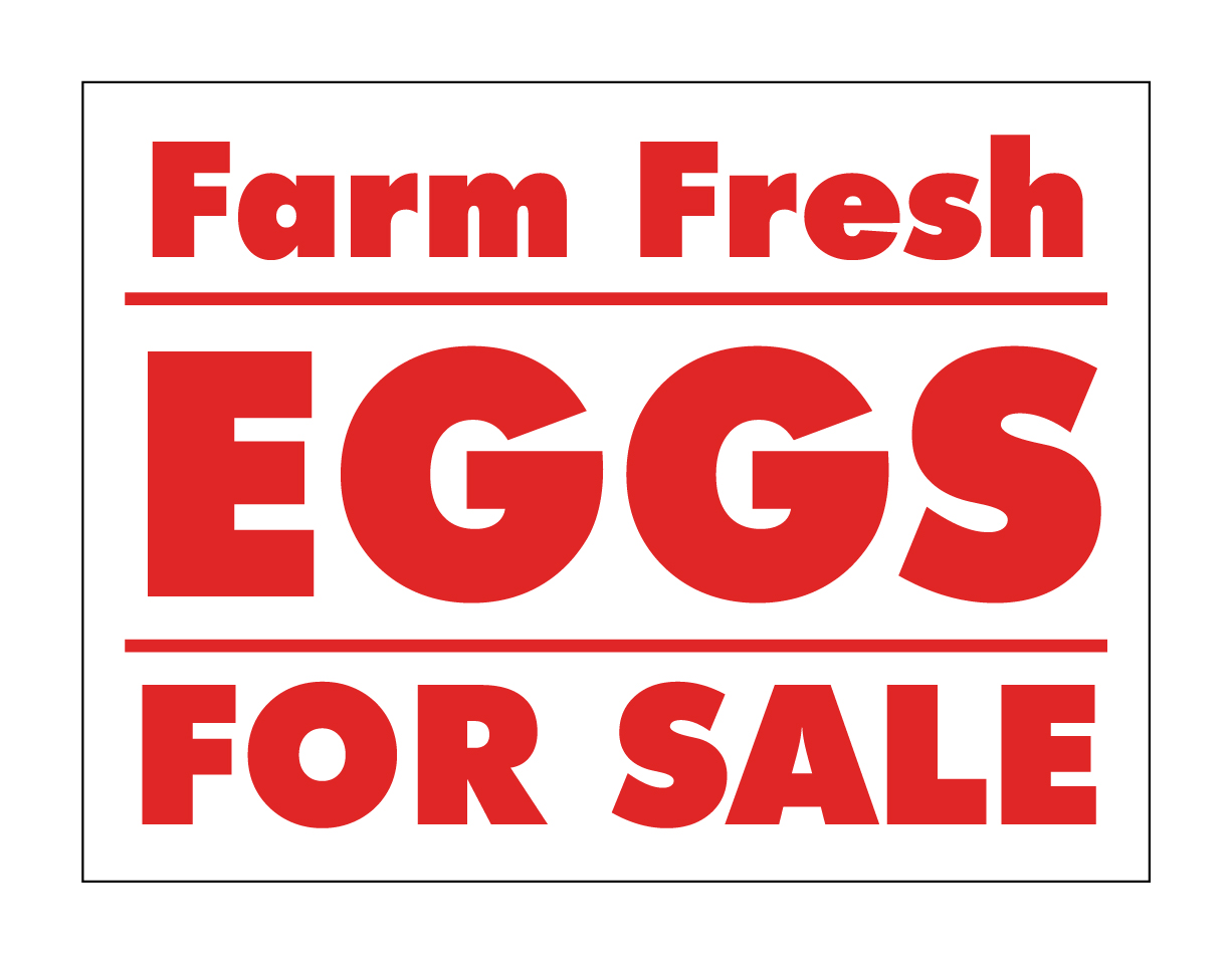 Buy our "Eggs for Sale" sign from Signs World Wide