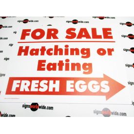 For Sale Hatching Eggs Right Arrow