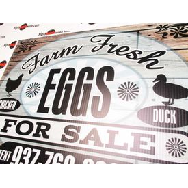 Farm Fresh C&D Eggs Sign Image 2