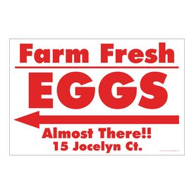 Jocelyn Ct R&W Left Arrow sign image