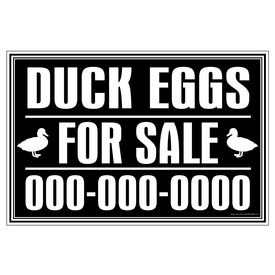 Duck Eggs For Sale 24x36 sign image