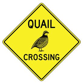 Quail Crossing Sign Image v2