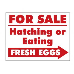 For Sale Hatching or Eating Eggs Right arrow sign image For Sale Hatching or Eating Eggs Right arrow sign image