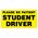 Please Be Patient Student Driver 12x24 magnetic image