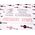 US Mail Rural Mail Carrier sign with transfer tape image 3