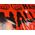 Happy Halloween Orange Banner Image 1