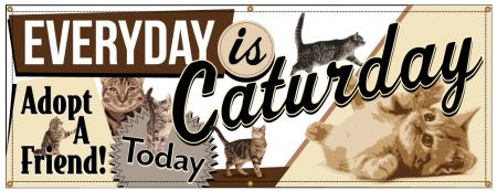 Everyday Is Caturday Adopt a Friend banner image