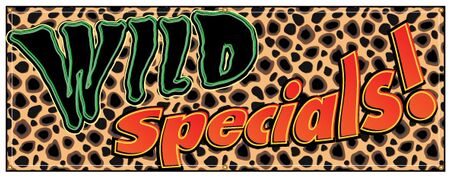 Wild Specials cheetah banner image
