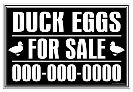 Duck Eggs For Sale 24x36 sign image