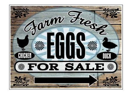 Farm Fresh Chicken and Eggs Directional Sign Rock Arrow