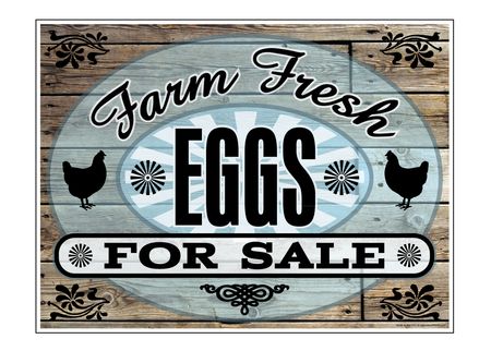 Farm Fresh Eggs For Sale Aluminum 18x24 sign image