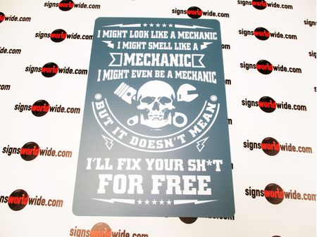 I Might Look Like a Mechanic Polystyrene Sign