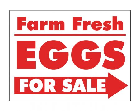 Farm Fresh Eggs Red and White sign image