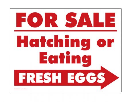 For Sale Hatching or Eating Eggs Right arrow sign image