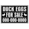 Duck Eggs For Sale 24x36 sign image