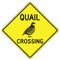 Quail Crossing Sign Image v2